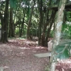 Galeria 3